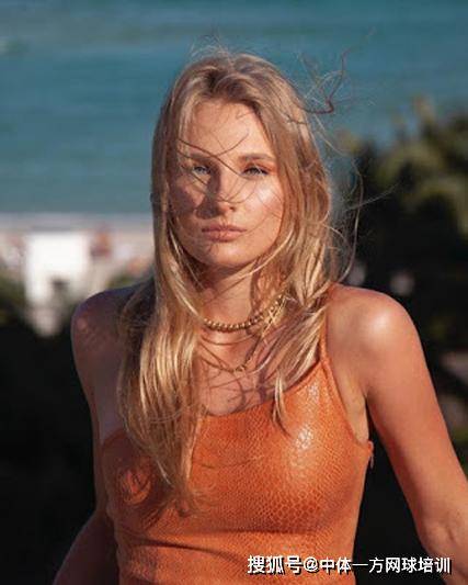 日耳曼队追 日耳曼队追