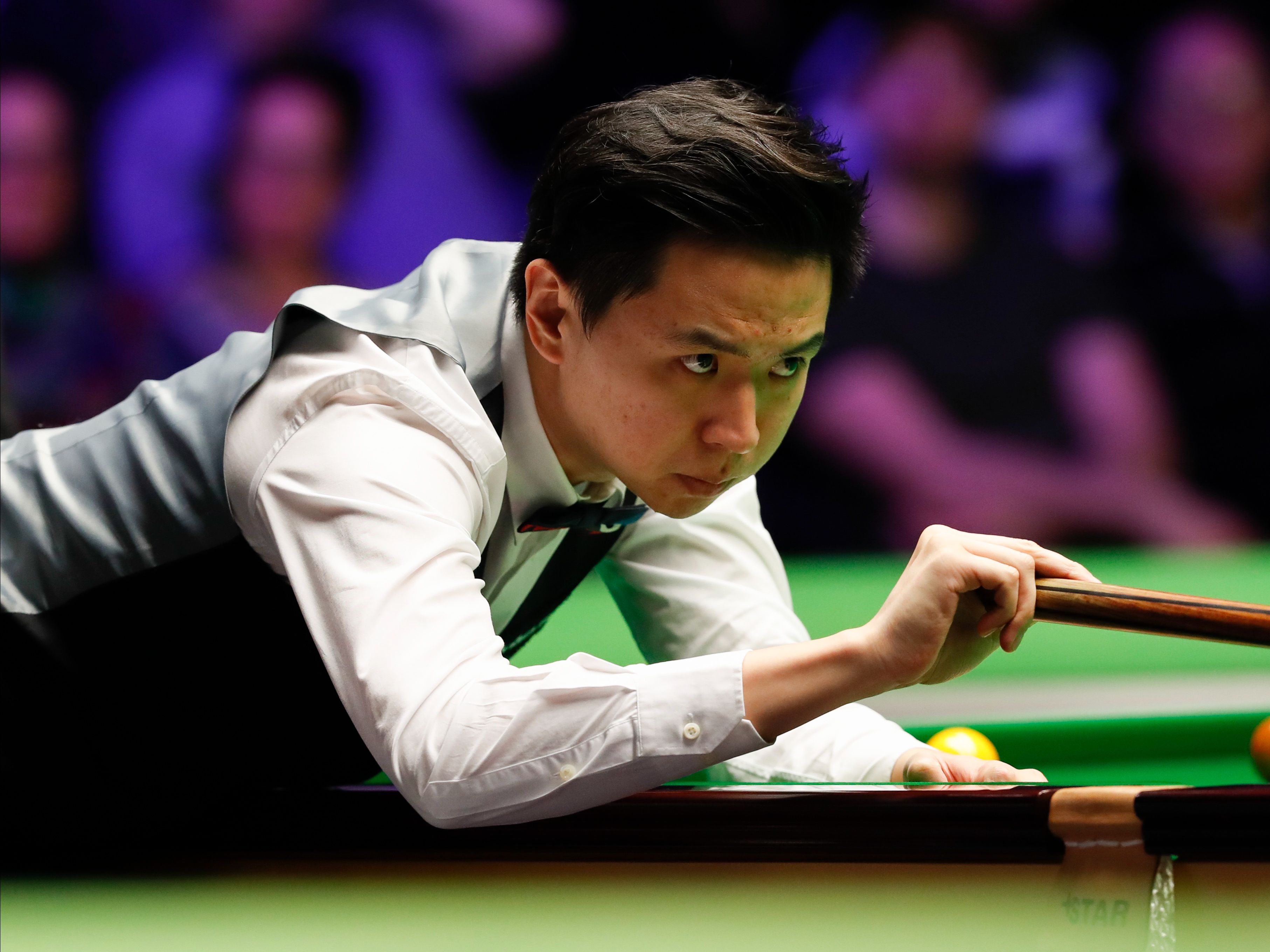 创作者产出 创作者产出